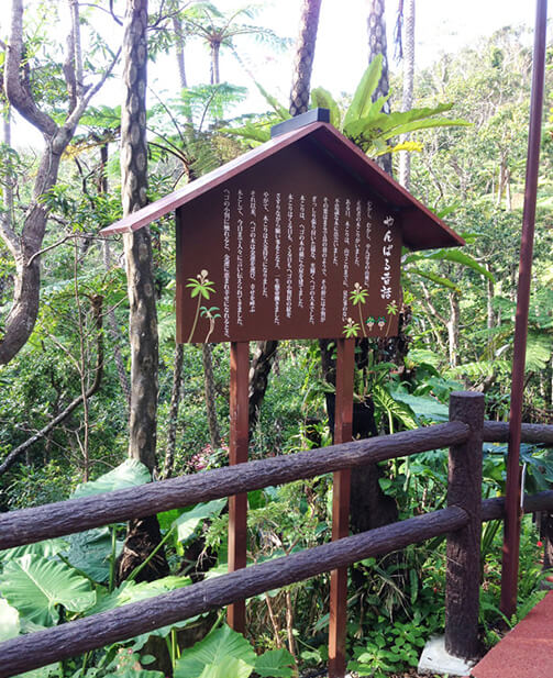 SIGN DESIGN 26の施工写真
