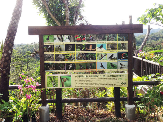 SIGN DESIGN 27の施工写真